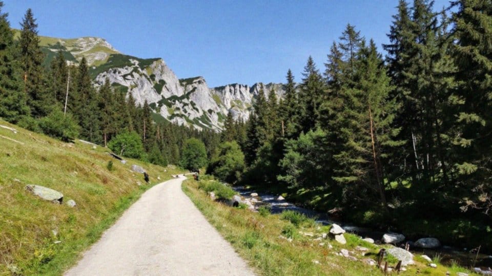 Ile wynosi długość i przewyższenie szlaku w Dolinie Kościeliskiej?