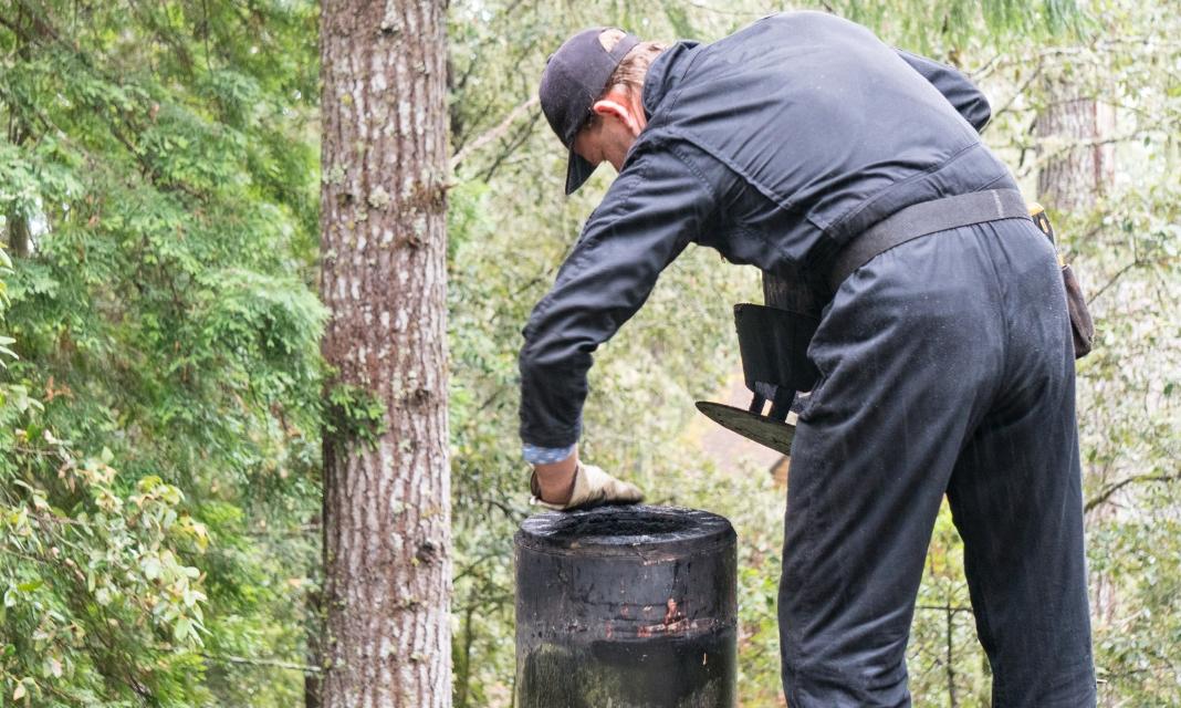 Kominiarz Piotrków Trybunalski