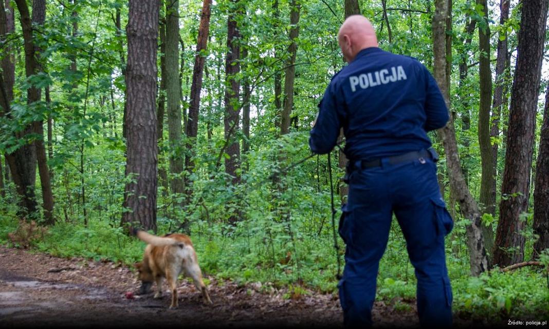 Reaguj na zagrożenie wychłodzeniem – bezpieczeństwo osób w kryzysie bezdomności