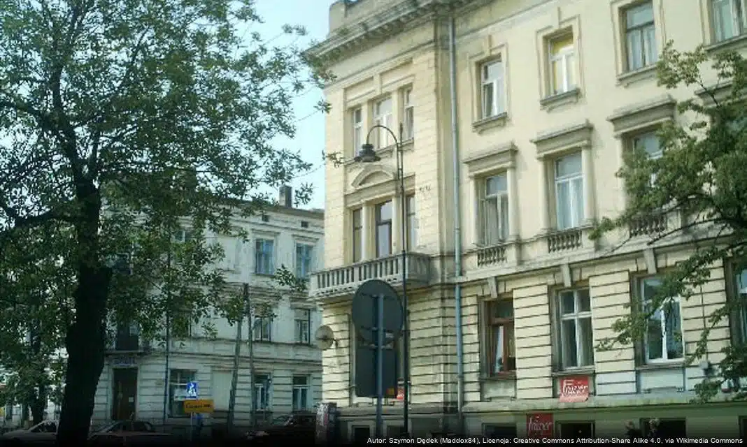 Kreatywne ferie z Akademią Piotrkowską w Piotrkowie Trybunalskim